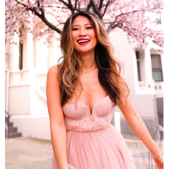 SAU LEE Blush Tulle Sleeveless‎ Ruched Pleated Bustier Bodice Velvet Trim Gown 8 - Picture 7 of 11